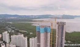 湾湾爆料最新消息,最新消息揭秘！